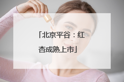 北京平谷：红杏成熟上市