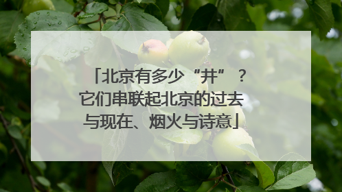 北京有多少“井”？它们串联起北京的过去与现在、烟火与诗意