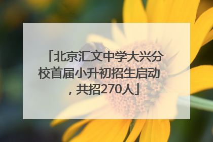 北京汇文中学大兴分校首届小升初招生启动，共招270人