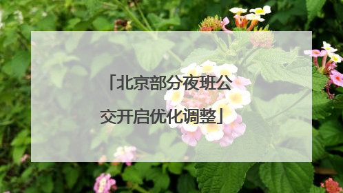 北京部分夜班公交开启优化调整