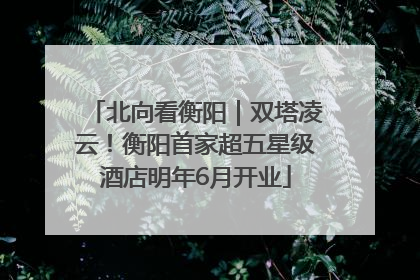 北向看衡阳｜双塔凌云！衡阳首家超五星级酒店明年6月开业