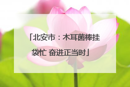 北安市：木耳菌棒挂袋忙 奋进正当时