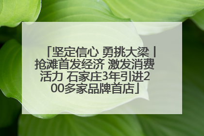 坚定信心 勇挑大梁丨抢滩首发经济 激发消费活力 石家庄3年引进200多家品牌首店
