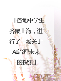 各地中学生齐聚上海，进行了一场关于AI治理未来的探索