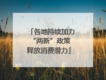 各地持续加力“两新”政策 释放消费潜力