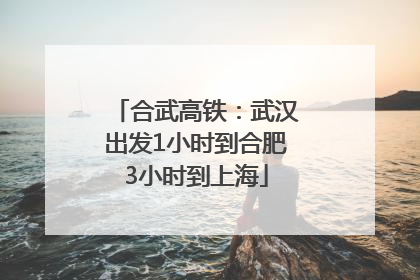 合武高铁：武汉出发1小时到合肥3小时到上海