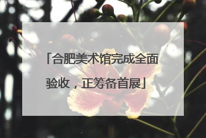 合肥美术馆完成全面验收，正筹备首展