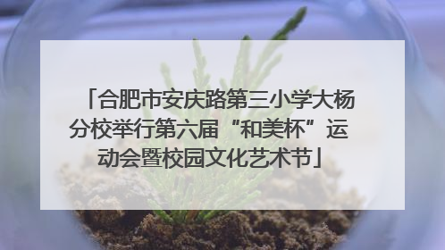 合肥市安庆路第三小学大杨分校举行第六届“和美杯”运动会暨校园文化艺术节