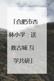 合肥市杏林小学：送教古城 互学共研