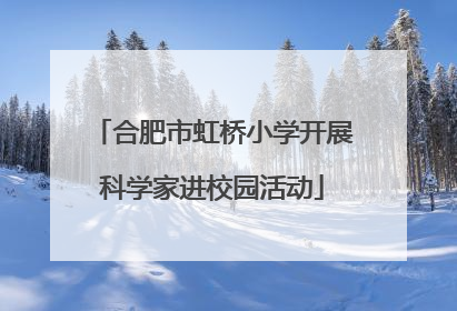 合肥市虹桥小学开展科学家进校园活动