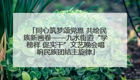 同心筑梦颂党恩 共绘民族新画卷——九水街道“学榜样 促实干”文艺晚会唱响民族团结主旋律