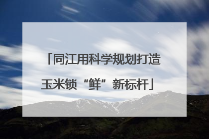 同江用科学规划打造玉米锁“鲜”新标杆