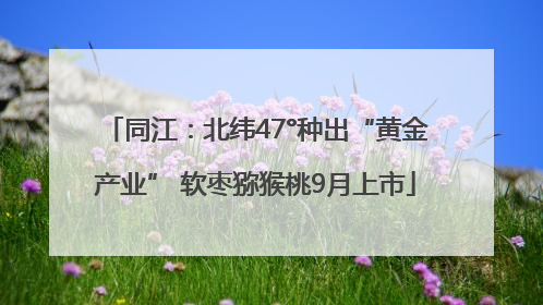 同江：北纬47°种出“黄金产业” 软枣猕猴桃9月上市