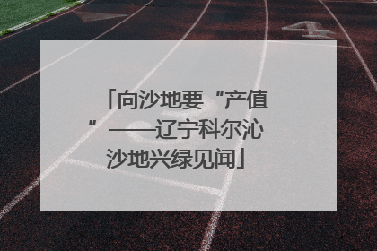 向沙地要“产值”——辽宁科尔沁沙地兴绿见闻