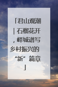 君山观潮｜石榴花开，峄城谱写乡村振兴的“新”篇章
