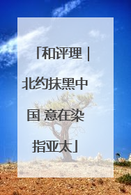 和评理｜北约抹黑中国 意在染指亚太