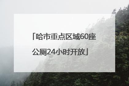 哈市重点区域60座公厕24小时开放