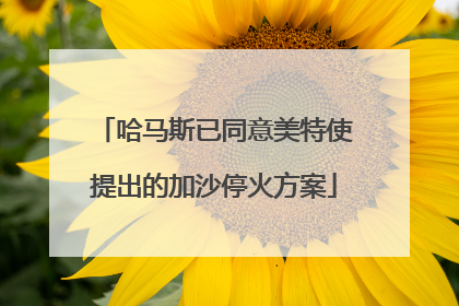 哈马斯已同意美特使提出的加沙停火方案