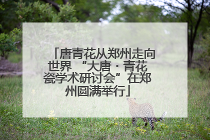 唐青花从郑州走向世界 “大唐・青花瓷学术研讨会”在郑州圆满举行