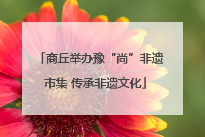 商丘举办豫“尚”非遗市集 传承非遗文化