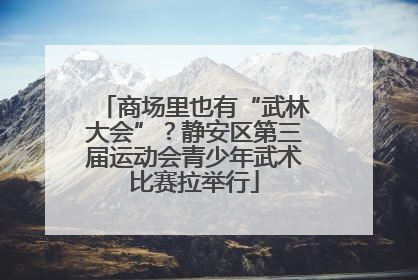 商场里也有“武林大会”？静安区第三届运动会青少年武术比赛拉举行
