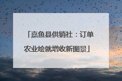 嘉鱼县供销社：订单农业绘就增收新图景