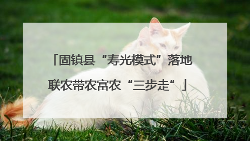 固镇县“寿光模式”落地 联农带农富农“三步走”