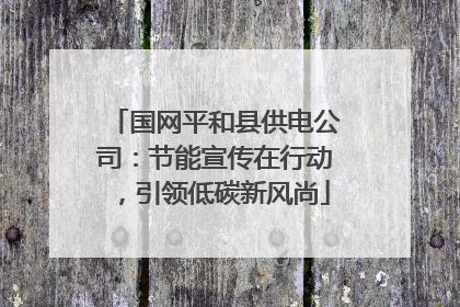 国网平和县供电公司：节能宣传在行动，引领低碳新风尚