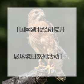 国网湖北经研院开展环境日系列活动