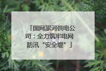 国网漯河供电公司：全力筑牢电网防汛“安全堤”