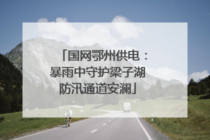 国网鄂州供电：暴雨中守护梁子湖防汛通道安澜