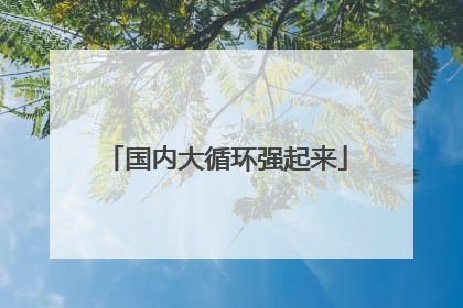 国内大循环强起来