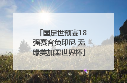国足世预赛18强赛客负印尼 无缘美加墨世界杯