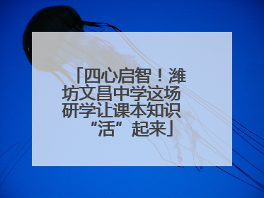 四心启智！潍坊文昌中学这场研学让课本知识“活”起来