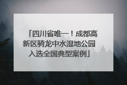 四川省唯一！成都高新区骑龙中水湿地公园入选全国典型案例