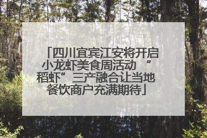 四川宜宾江安将开启小龙虾美食周活动 “稻虾”三产融合让当地餐饮商户充满期待