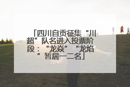 四川自贡征集“川超”队名进入投票阶段：“龙焱”“龙焰”暂居一二名