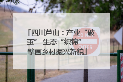 四川芦山：产业“破茧” 生态“织锦” 擘画乡村振兴新貌