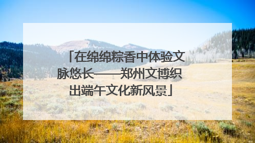 在绵绵粽香中体验文脉悠长——郑州文博织出端午文化新风景