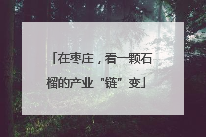 在枣庄，看一颗石榴的产业“链”变