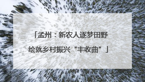 孟州：新农人逐梦田野 绘就乡村振兴“丰收曲”