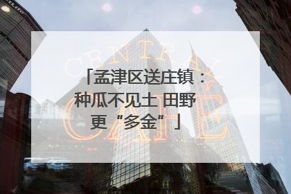孟津区送庄镇：种瓜不见土 田野更“多金”