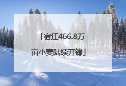 宿迁466.8万亩小麦陆续开镰
