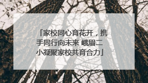 家校同心育花开，携手同行向未来 峨眉二小凝聚家校共育合力