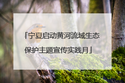 宁夏启动黄河流域生态保护主题宣传实践月