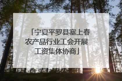 宁夏平罗县塞上春农产品行业工会开展工资集体协商