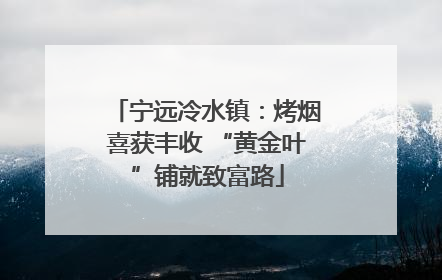 宁远冷水镇：烤烟喜获丰收 “黄金叶”铺就致富路