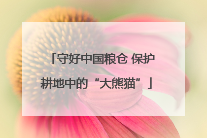 守好中国粮仓 保护耕地中的“大熊猫”