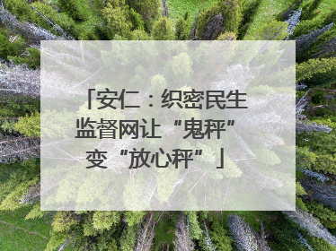 安仁：织密民生监督网让“鬼秤”变“放心秤”