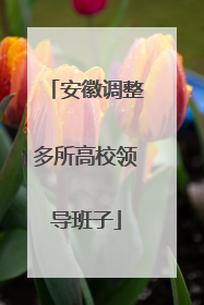 安徽调整多所高校领导班子